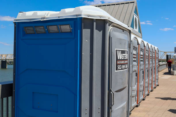 Best Root Management and Removal  in Berino, NM